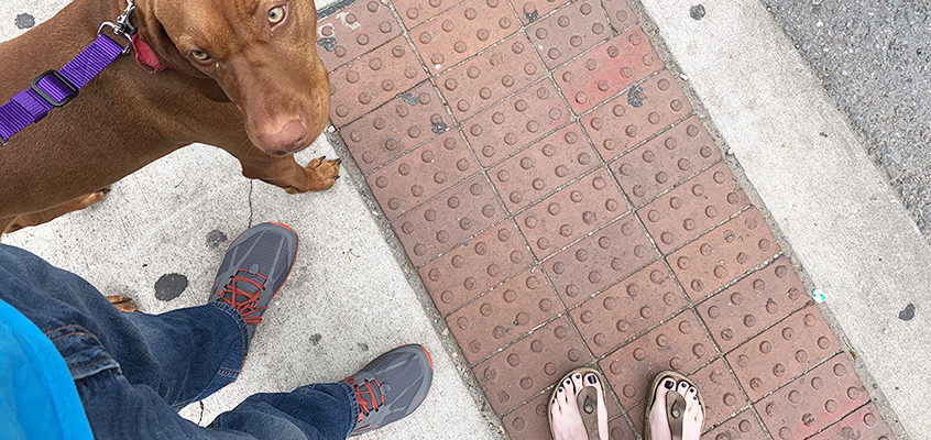 Week in the Life 2019 :: Wednesday Words + Photos